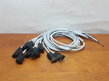 Hình ảnh của Cảm biến xi lanh 2-dây SMC D-C73 0.5m